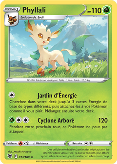 Card 13
