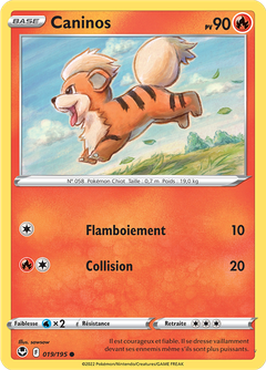 Card 19