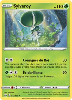 Card 17