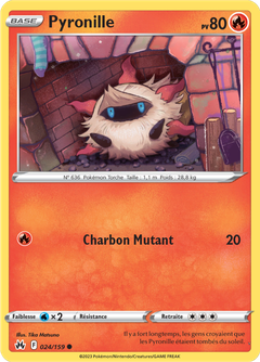 Card 24