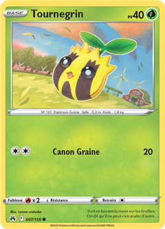 Card 7