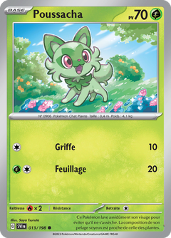 Card 13
