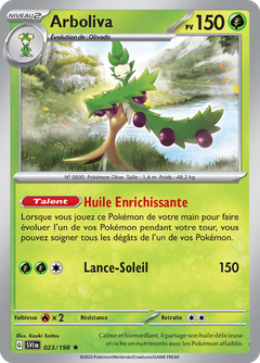 Card 23