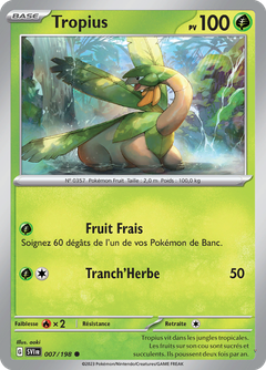 Card 7