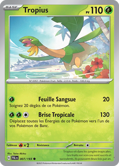 Card 7