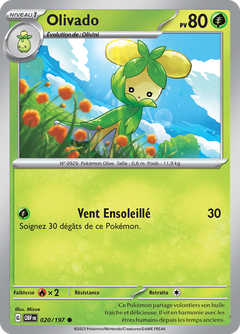 Card 20