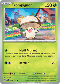 Card 9