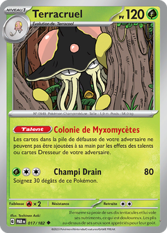 Card 17