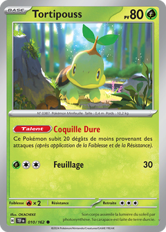 Card 10
