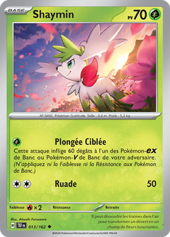 Card 13