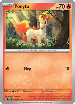 Card 19