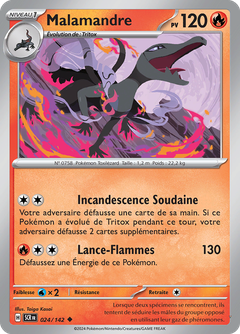 Card 24