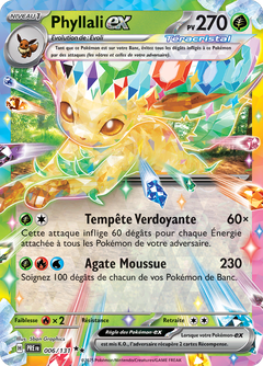 Card 6