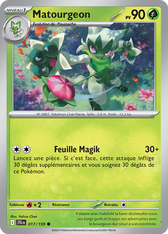 Card 17