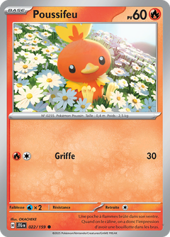 Card 22