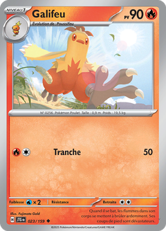 Card 23