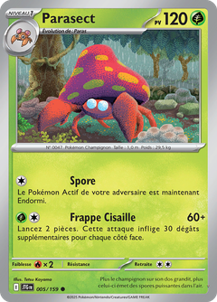 Card 5