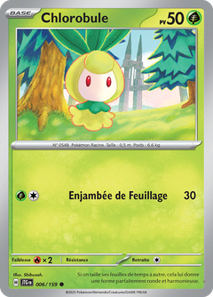 Card 6