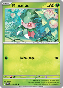 Card 13