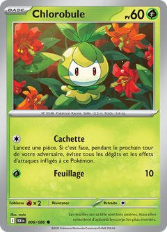 Card 6