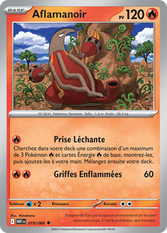 Card 19