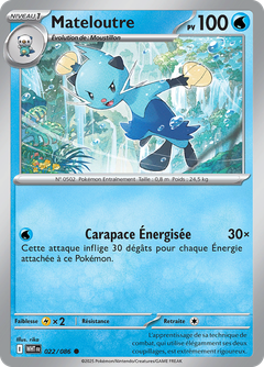 Card 22