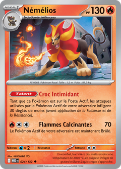 Card 24