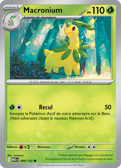 Card 9
