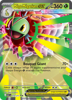 Card 10