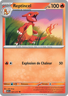 Card 21