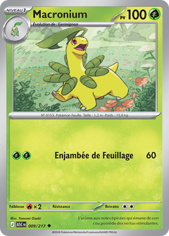 Card 9