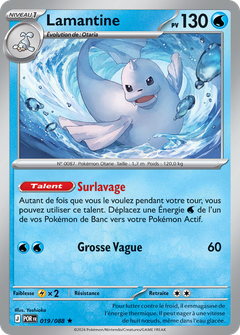 Card 19