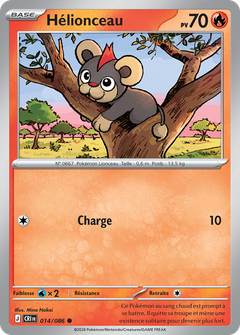 Card 14