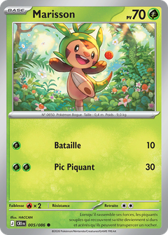 Card 5