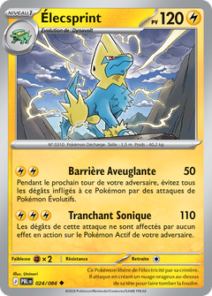 Card 24