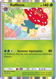Card 13