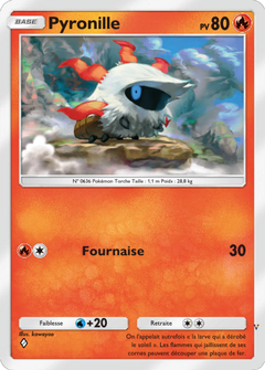 Card 13