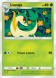 Card 5