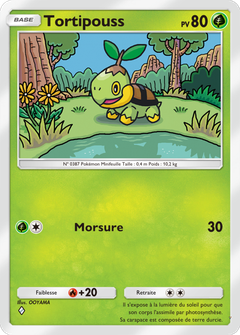 Card 10