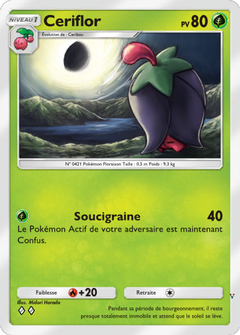 Card 7