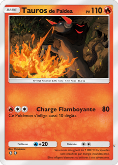 Card 13