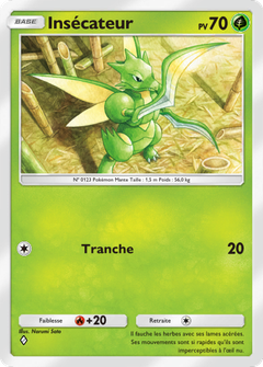 Card 6