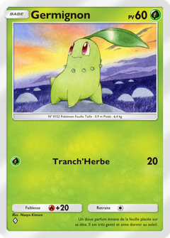 Card 8