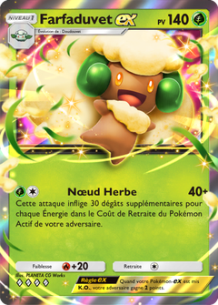 Card 16