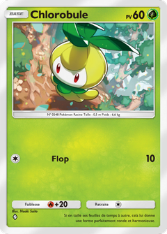 Card 17