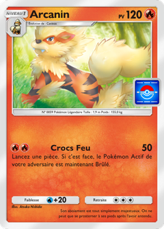 Card 13