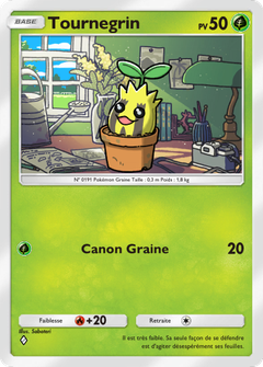 Card 7