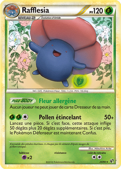 Card 24