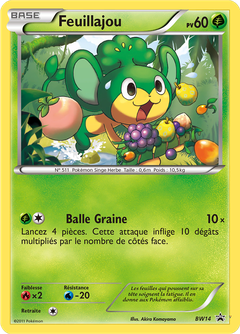 Card BW14