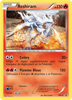 Card BW23